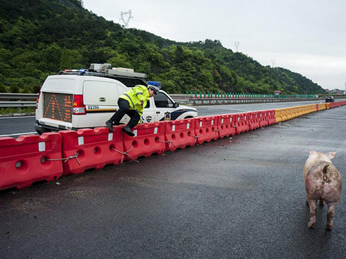 湖南省高速公路總局水馬防撞桶采購項(xiàng)目